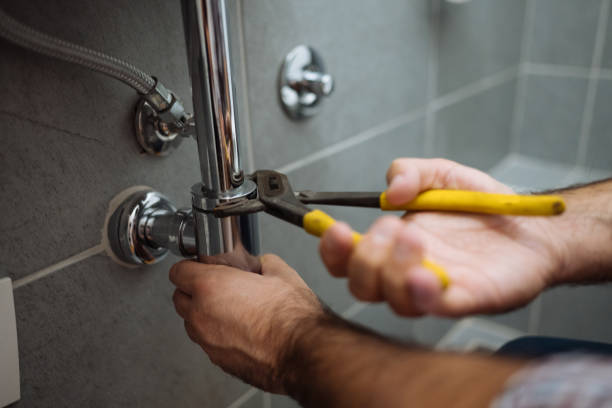 Best Commercial Plumbing Services  in Flat Rock, NC